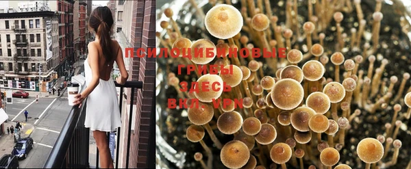 каннабис Каменск-Шахтинский
