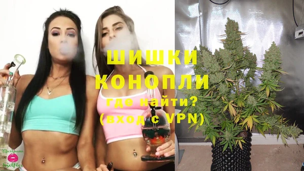 2c-b Каменка