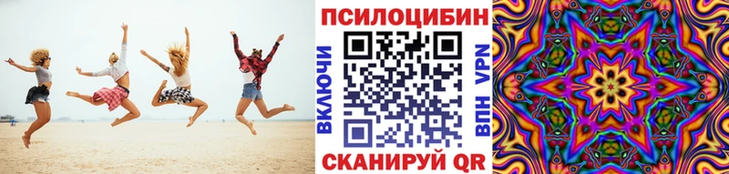 Купить где  Шелехов  Псилоцибиновые грибы мицелий 