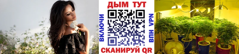 Купить где  Шелехов  Бошки Шишки тримм 